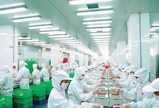 食品动态 贵州茅台市值站上1.5万亿 三季报净利增23